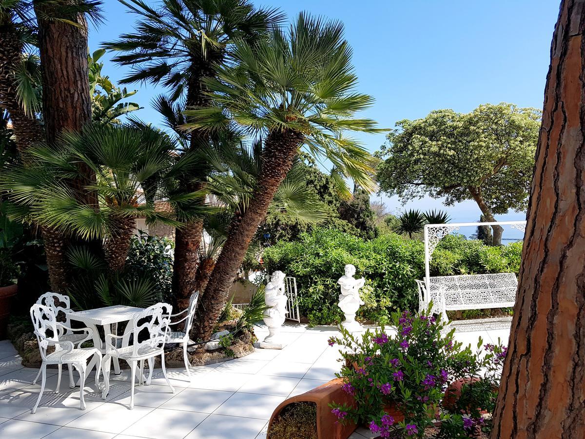 Ischia Dream Visions Apartment Bagian luar foto