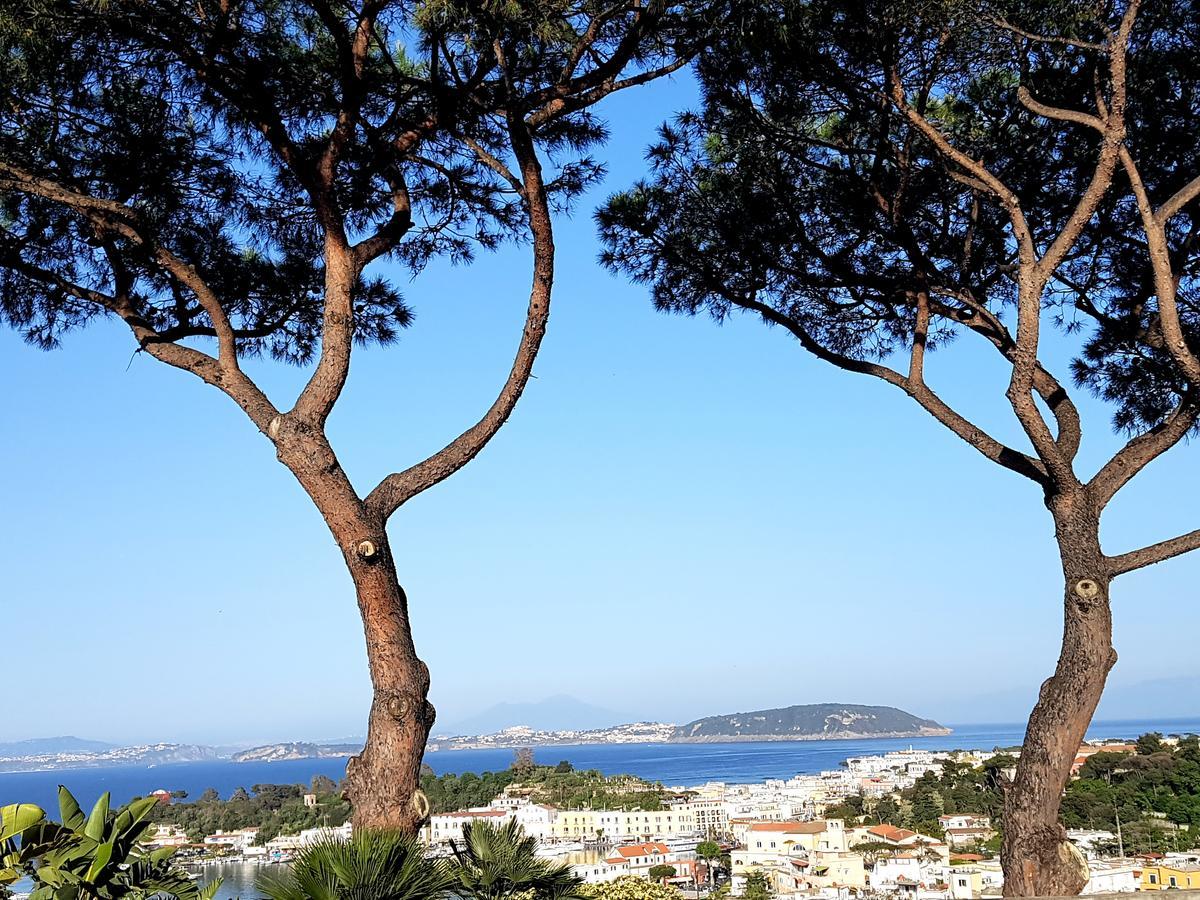 Ischia Dream Visions Apartment Bagian luar foto