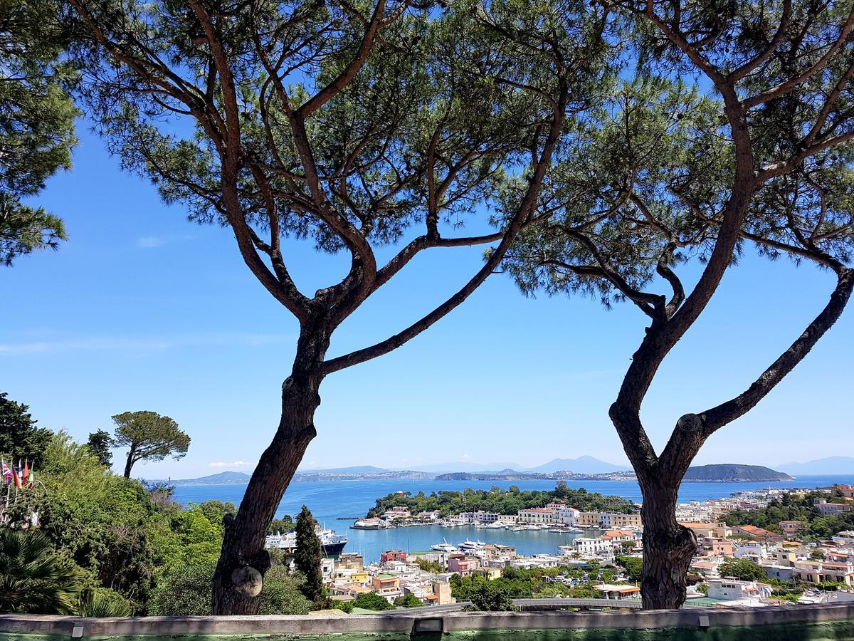 Ischia Dream Visions Apartment Bagian luar foto