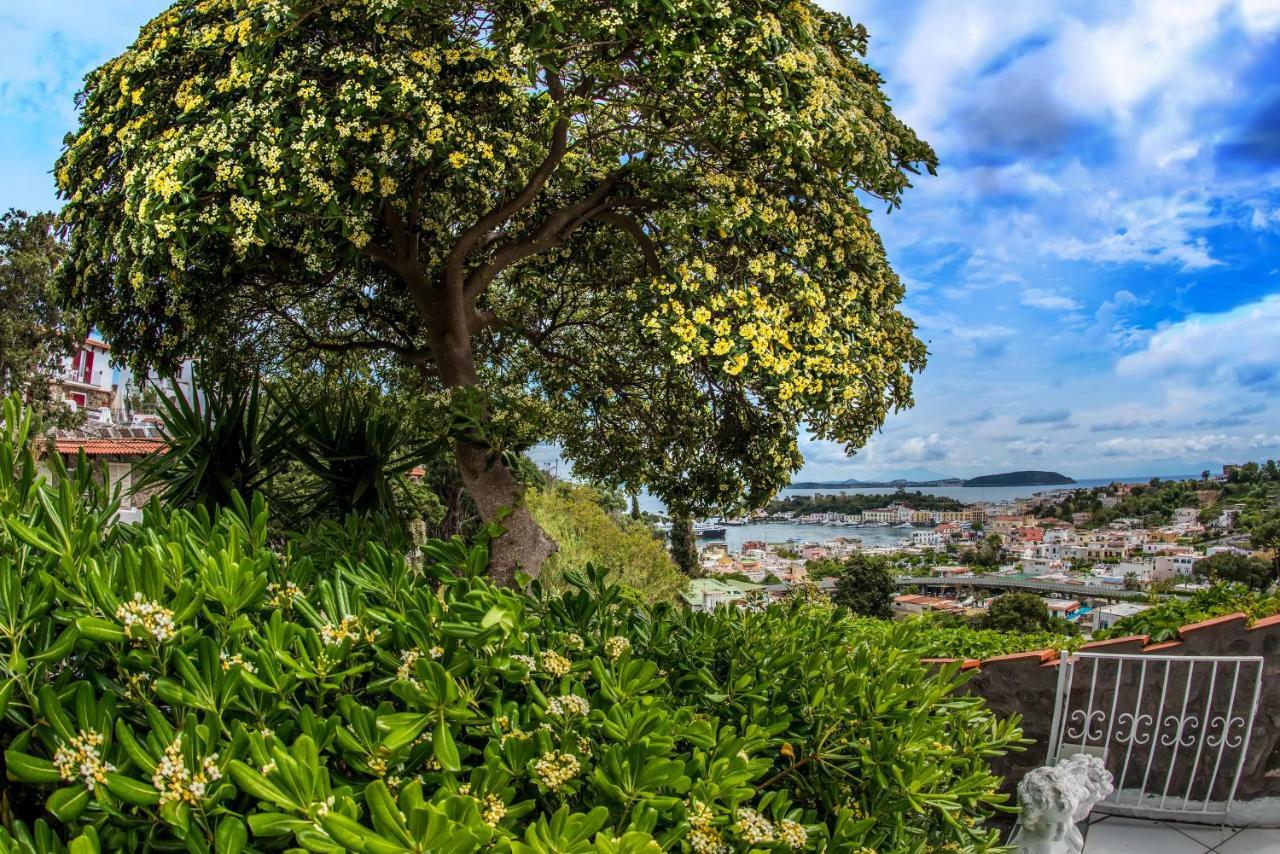 Ischia Dream Visions Apartment Bagian luar foto