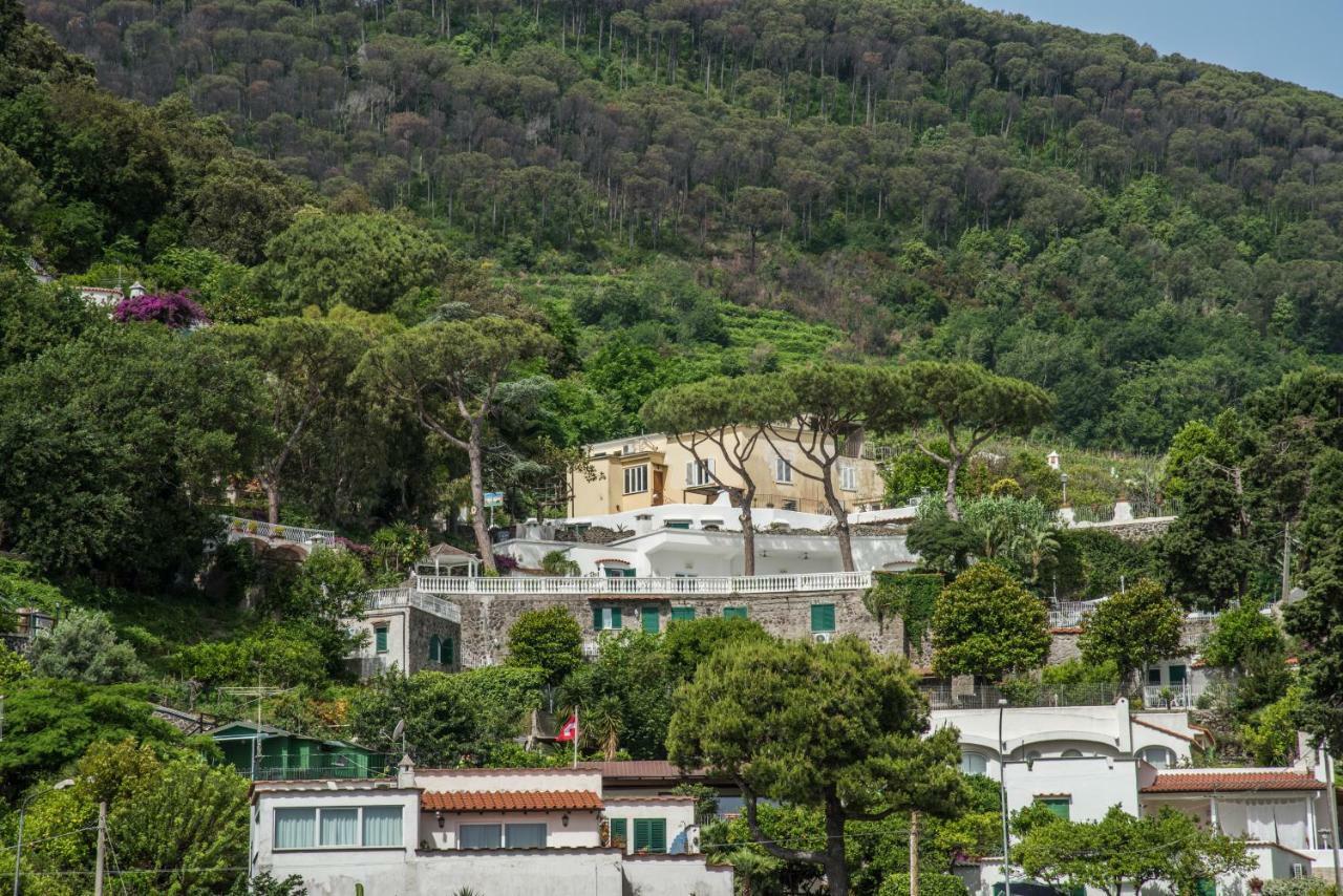 Ischia Dream Visions Apartment Bagian luar foto